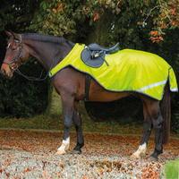 Amigo Reflective Competition She...