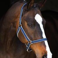 Amigo Headcollar