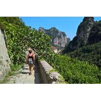 Amalfi Coast Experience: Walking Tour Valle delle Ferriere and Historical Highlights