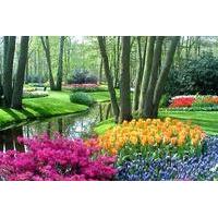 Amsterdam Super Saver: Keukenhof Gardens Day Trip plus Amsterdam City Tour