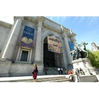 American Museum for Natural History Guided Tour with Japanese Guide