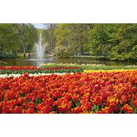 amsterdam combo van gogh museum and canal cruise with optional skip th ...