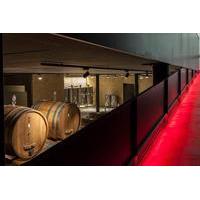 amarone wine tour and tasting of 9 wines in a modern winery