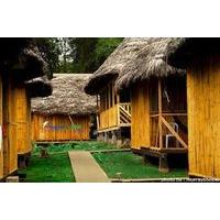 Amazon Dolphin Lodge