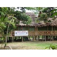 Amazon King Lodge