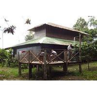 Amazon Lake Lodge