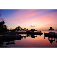 Amy Slate\'s Amoray Dive Resort