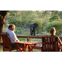 Amukela Game Lodge