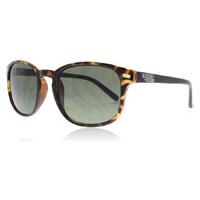 american freshman alex sunglasses tortoise afs014 52mm