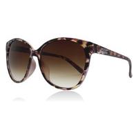 American Freshman Brooke Sunglasses Purple PPL 58mm