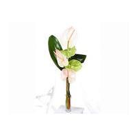 amazing anthurium with vase