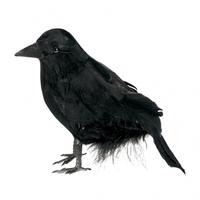 Amscan 10.1cm Small Feathered Raven