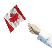 Amscan 30 x 45cm Pack Of 4 Canada Waving Flag