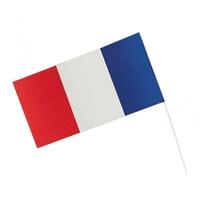 Amscan Ppp 15 x 22cm France Flags, Pack Of 12