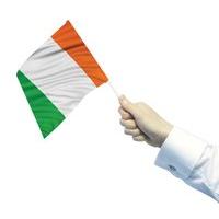 Amscan Ppp 30 x 45cm Ireland Waving Flags