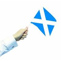 Amscan Ppp 3 x 2 Ft Waving Scotland Flag