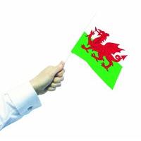 Amscan Ppp 3 x 2 Ft Waving Wales Flag