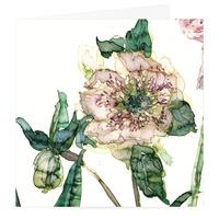 Amaryllis Floral Card