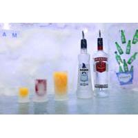 Amsterdam Ice Bar + 3 Drinks