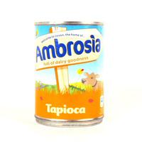 Ambrosia Creamed Tapioca