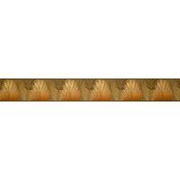 Amazon Brown Border
