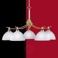 Amsterdam Hanging Light Five Bulbs Matte Brass