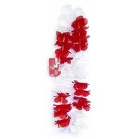 amscan lei st george pride passion party accessory