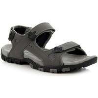 american club szare mens sandals in grey