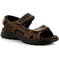 american club brzowe skrzane mens sandals in multicolour