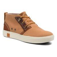 amherst chukka