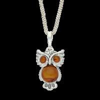 Amber Necklace CZ Owl Pendant Medium Silver