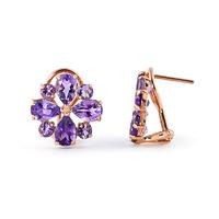 Amethyst Sunflower Stud Earrings 4.85ctw in 9ct Rose Gold