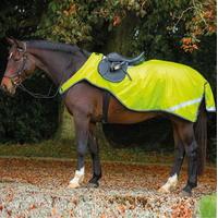 Amigo Reflective Competition She...