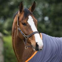 Amigo Horse Headcollar