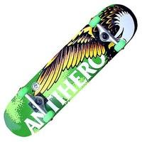 Anti Hero Winged Eagle Small Complete Skateboard