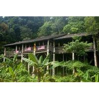 Annah Rais Bidayuh Longhouse Tour from Kuching