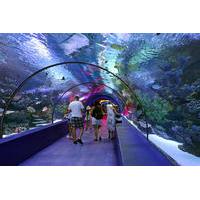 Antalya city tour with Duden Waterfall and Antalya Aquarium visit