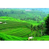 Ancient Temples and Jatiluwih Rice Terrace Private Tour