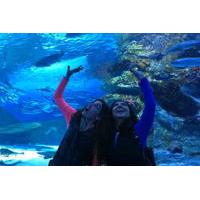 Antalya Aquarium with a Short City Tour and Visit to Lara Waterfall