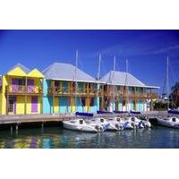 Antigua Shore Excursion: City of St John\'s Sightseeing Tour