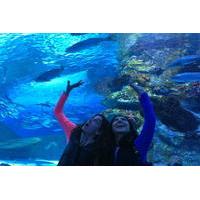 Antalya Aquarium including Hotel Pickup