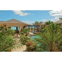 Anguilla\'s Bird of Paradise