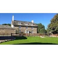 Anr&Atilde;&iexcl;n @ Tidwell Farm