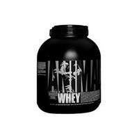 animal 18 kg chocolate chip whey protein powder