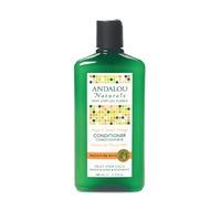 Andalou Argan & Sweet Orange Moisture Rich Conditioner 340ml - 340 ml, Orange