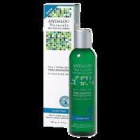 Andalou Aloe + Willow Bark Pore Minimizer 178ml - 178 ml