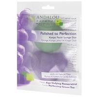 andalou polished to perfection konjac facial sponge