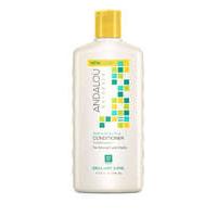 Andalou Sunflower & Citrus Conditioner 340ml