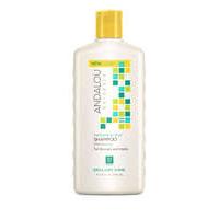 Andalou Sunflower & Cirtus Shine Shampoo 340ml