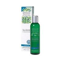 Andalou Aloe + Willow Bark Pore Minimizer (178ml)